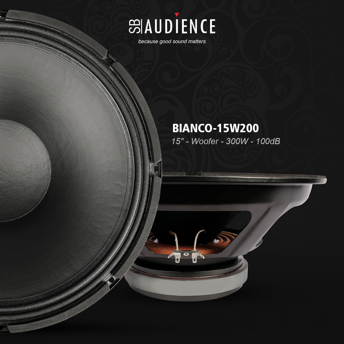 SB Audience Professional Drivers Now in India with Audiofy.in